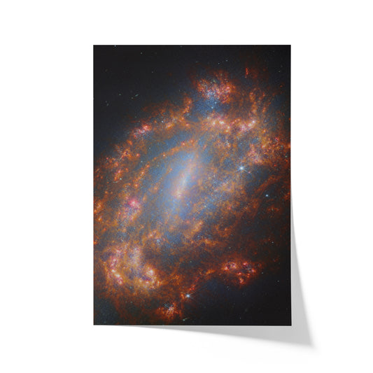 A Cosmic Treasure (NGC 1559)