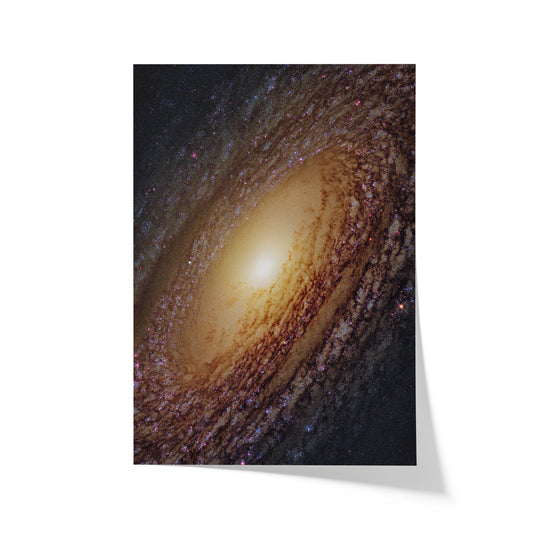 Galaxy NGC 2841