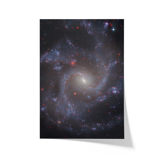 Face-on spiral galaxy (NGC 5668)