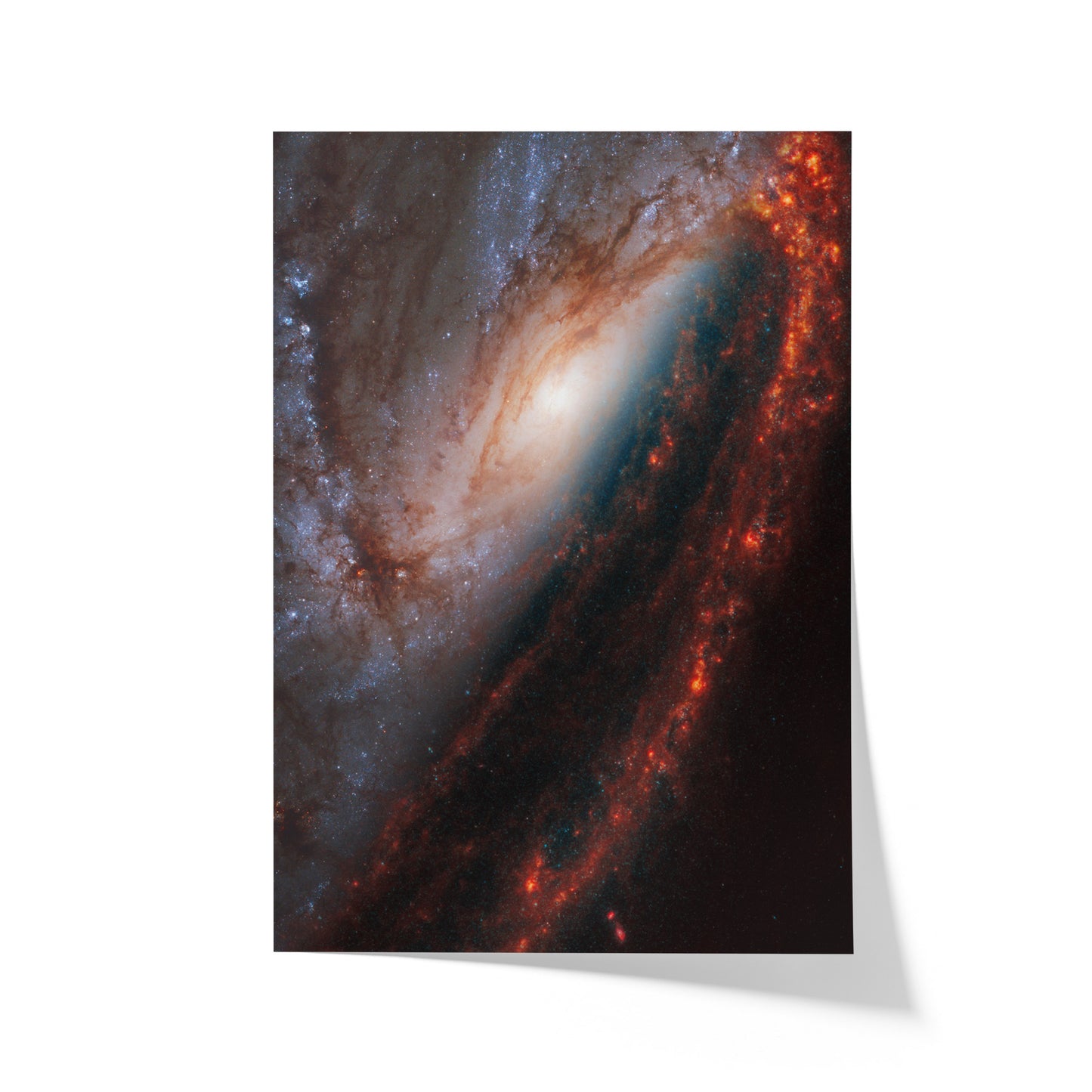 Face-on spiral galaxy (NGC 3627)