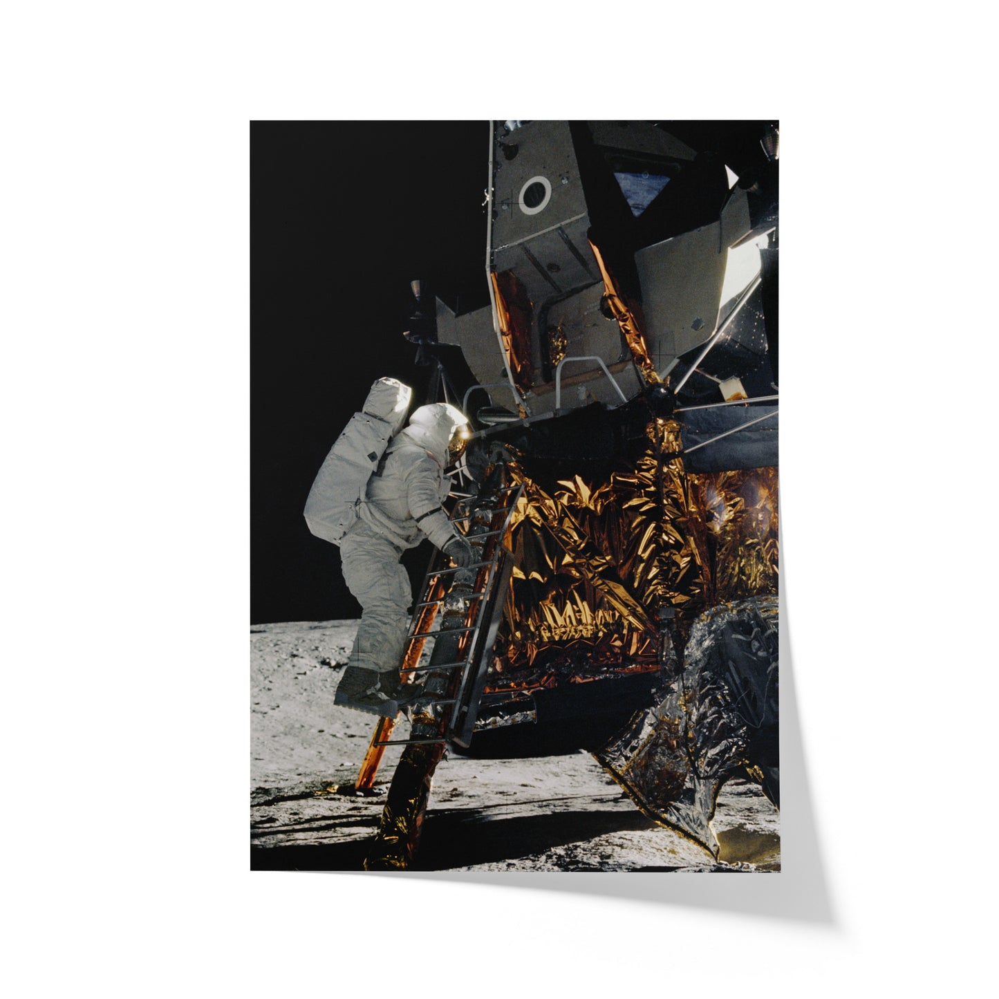 Apollo 12 Lands on the Moon