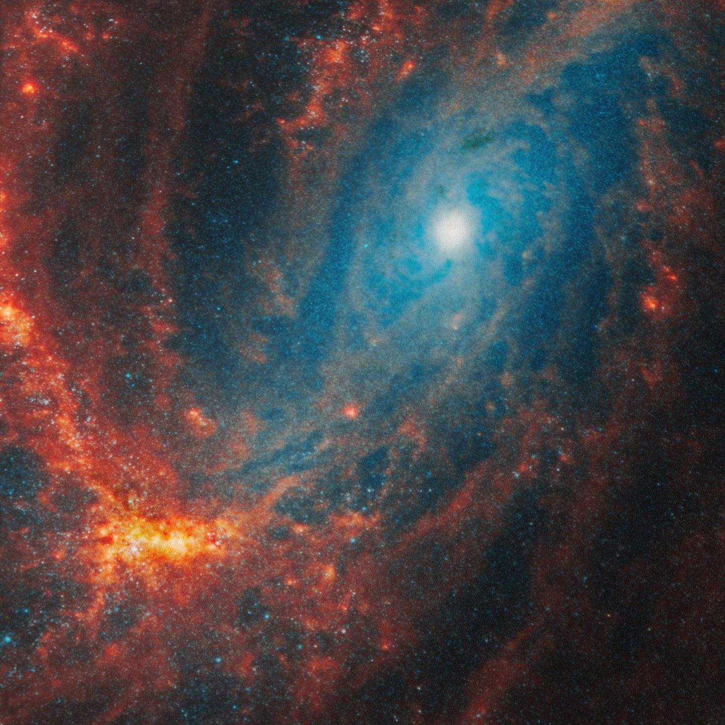 Face-on spiral galaxy (NGC 3627)