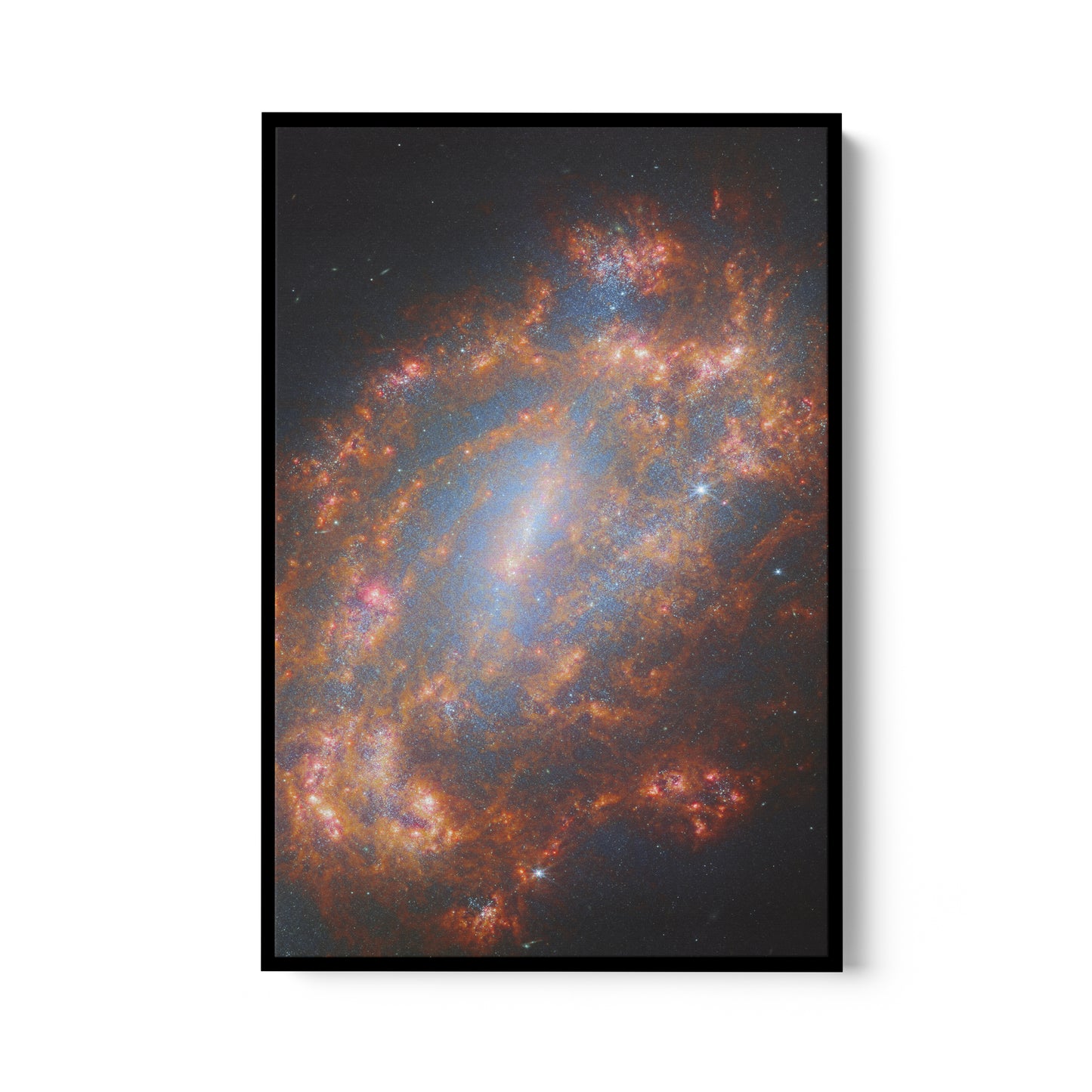 A Cosmic Treasure (NGC 1559)