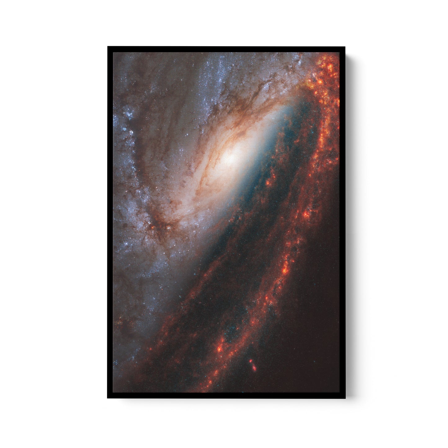 Face-on spiral galaxy (NGC 3627)