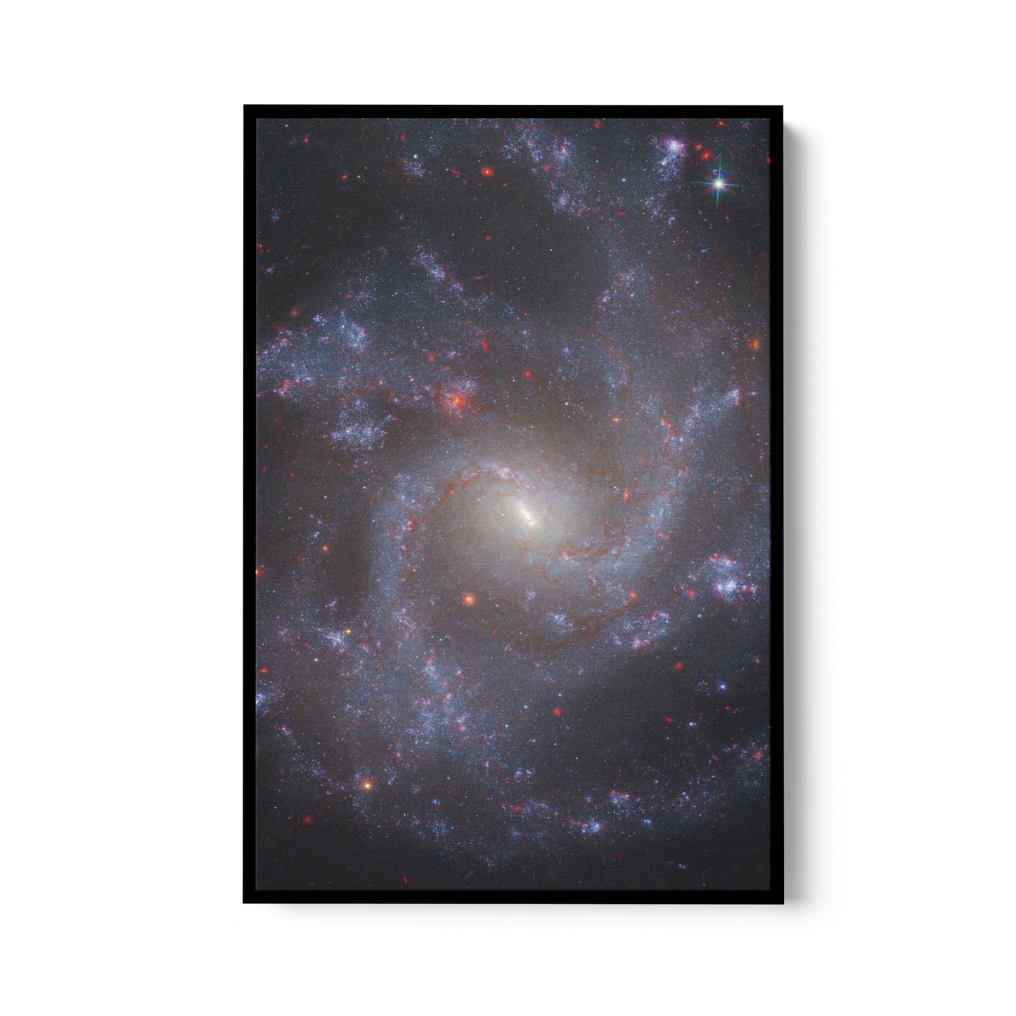 Face-on spiral galaxy (NGC 5668)