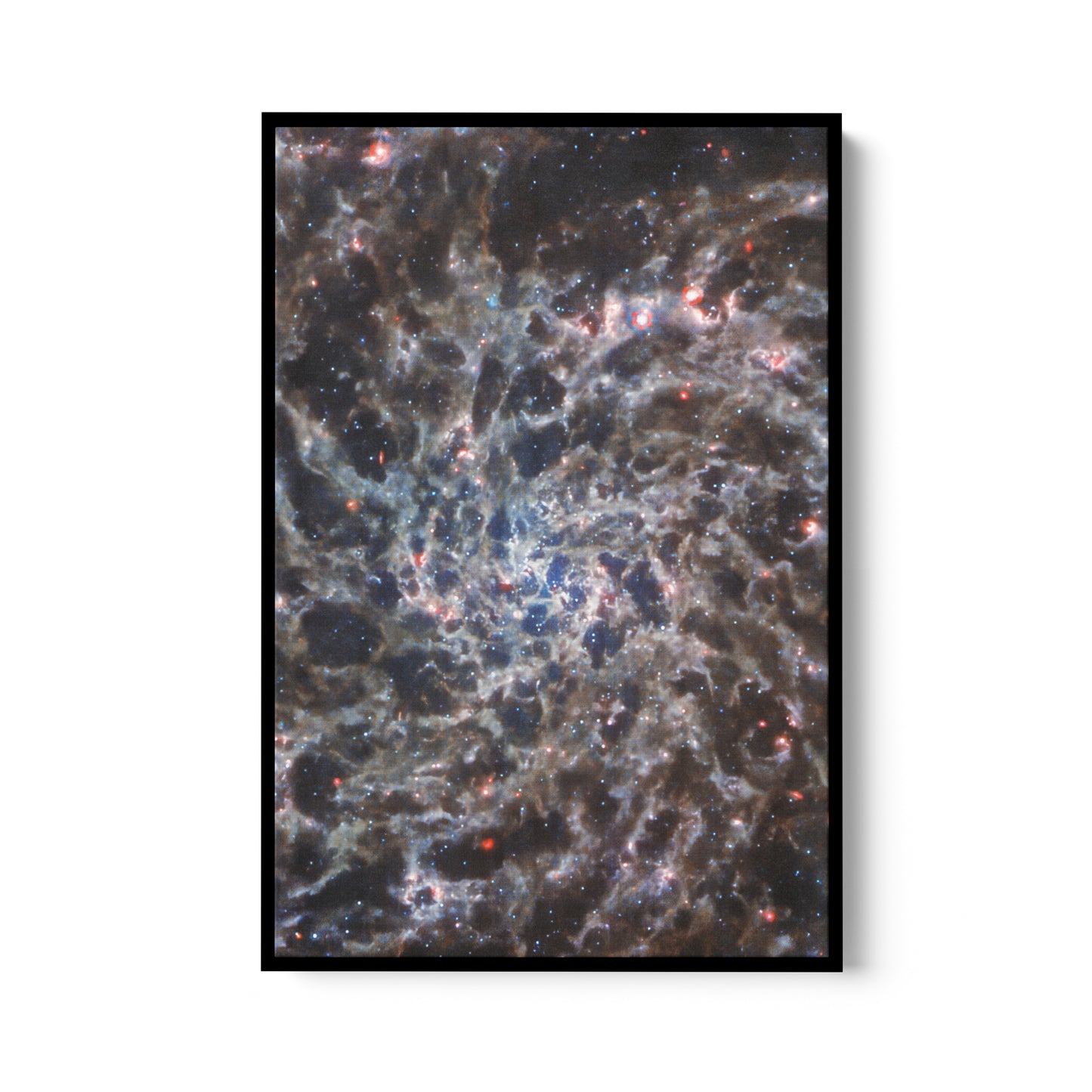 Galaxy (IC 5332)