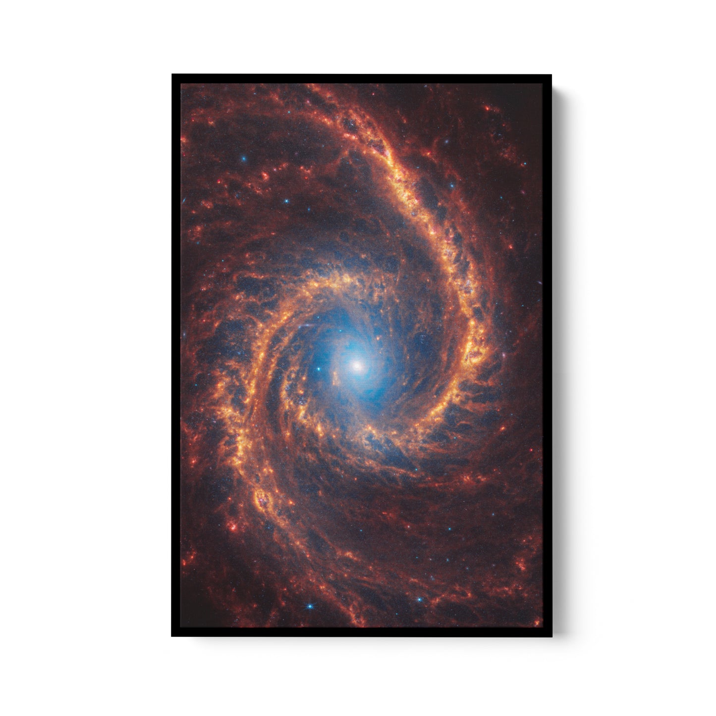 Spiral galaxy (NGC 1566)